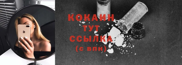 mdpv Каменка