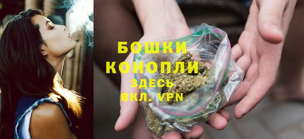 mdpv Каменка