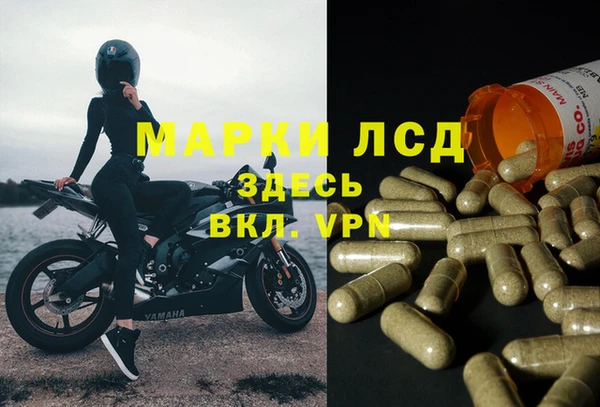 mdpv Каменка