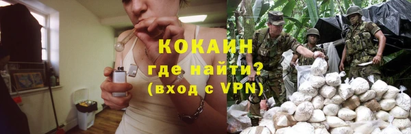 mdpv Каменка