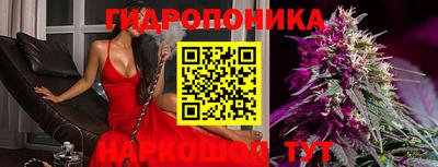 первитин Заводоуковск